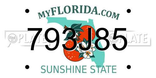 793J85 Florida License Plate