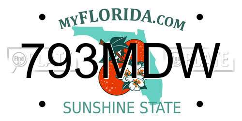 793MDW Florida License Plate