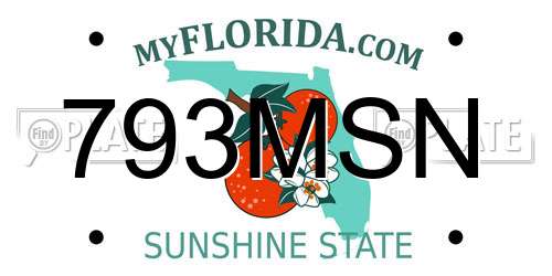 793MSN Florida License Plate