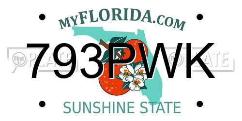793PWK Florida License Plate