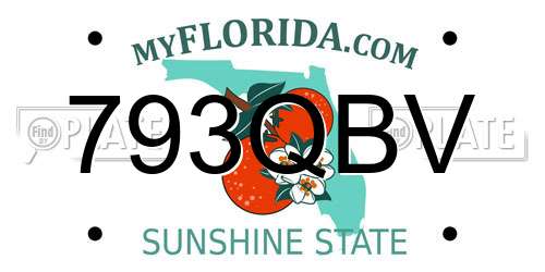 793QBV Florida License Plate