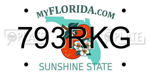 793RKG Florida License Plate