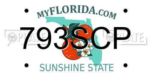 793SCP Florida License Plate