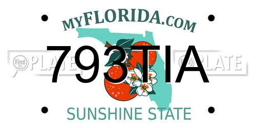 793TIA Florida License Plate