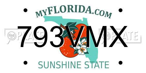 793VMX Florida License Plate