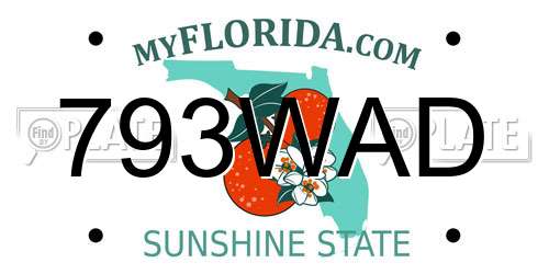 793WAD Florida License Plate