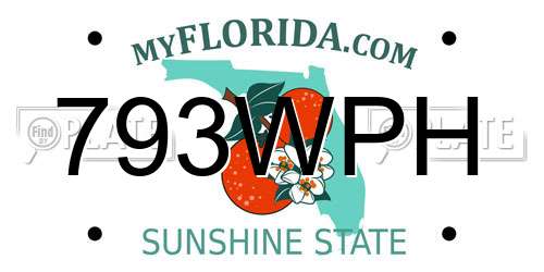793WPH Florida License Plate
