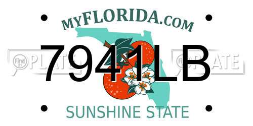7941LB Florida License Plate