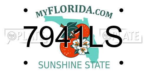 7941LS Florida License Plate