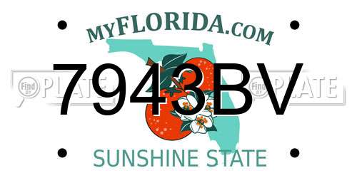7943BV Florida License Plate