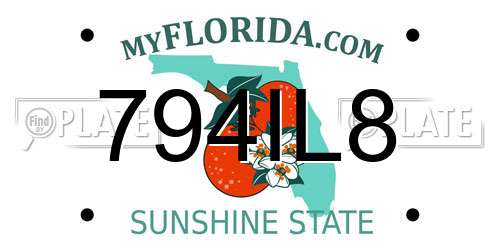 794IL8 Florida License Plate