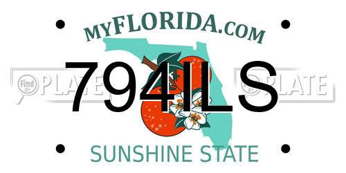 794ILS Florida License Plate