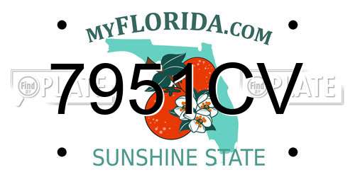 7951CV Florida License Plate