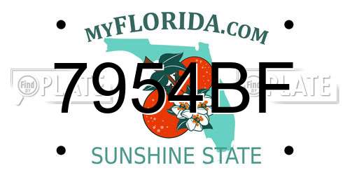 7954BF Florida License Plate
