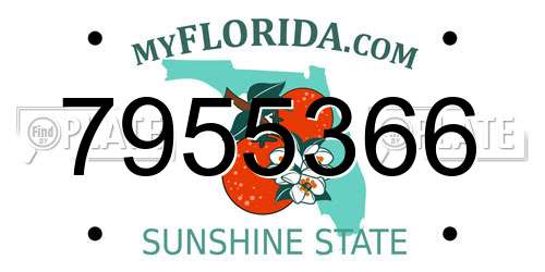 7955366 Florida License Plate
