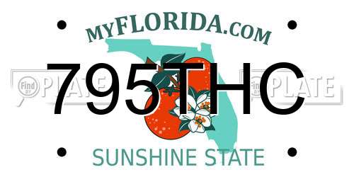 795THC Florida License Plate