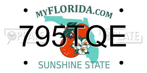 795TQE Florida License Plate