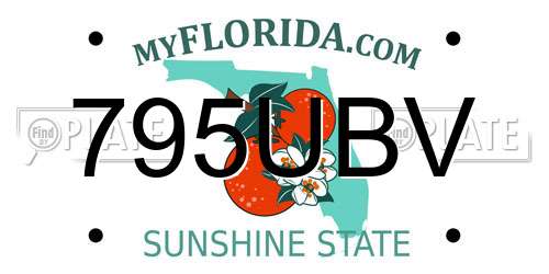 795UBV Florida License Plate