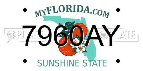 7960AY Florida License Plate