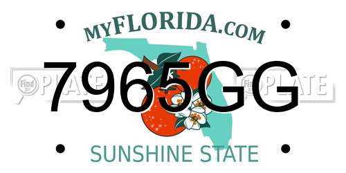 7965GG Florida License Plate