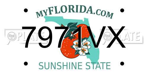 7971VX Florida License Plate