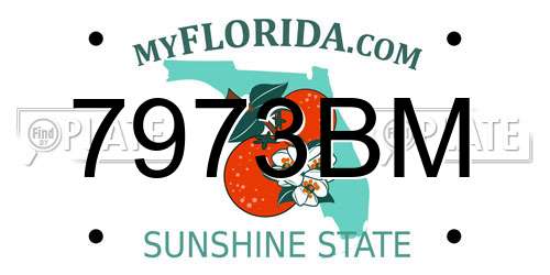 7973BM Florida License Plate