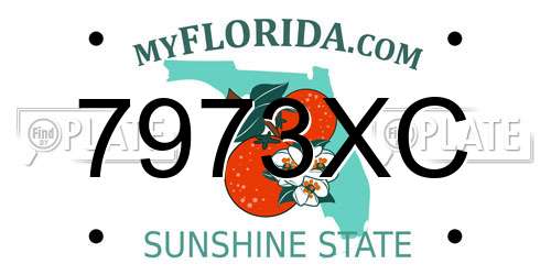7973XC Florida License Plate