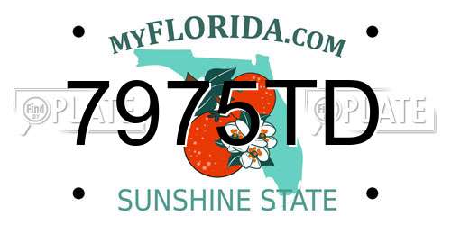 7975TD Florida License Plate