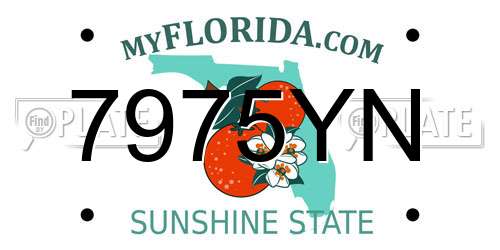 7975YN Florida License Plate
