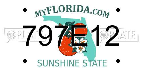 797E12 Florida License Plate