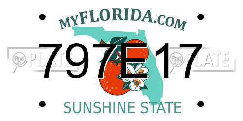 797E17 Florida License Plate