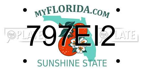 797EI2 Florida License Plate