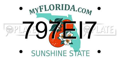 797EI7 Florida License Plate