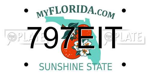 797EIT Florida License Plate