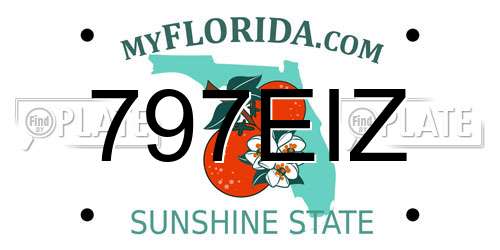 797EIZ Florida License Plate