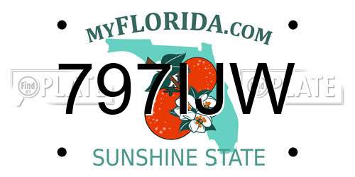 797IJW Florida License Plate