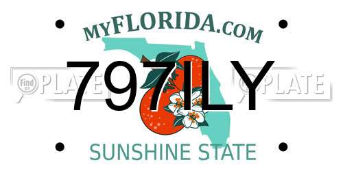 797ILY Florida License Plate