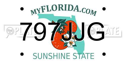 797JJG Florida License Plate