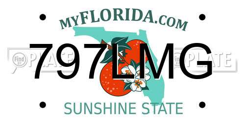 797LMG Florida License Plate