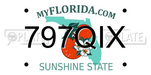 797QIX Florida License Plate