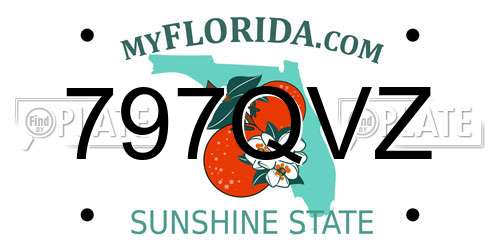 797QVZ Florida License Plate