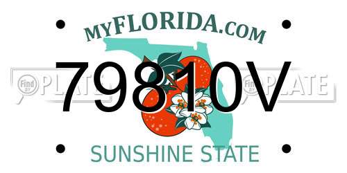 79810V Florida License Plate
