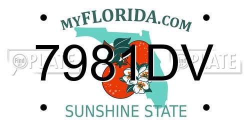 7981DV Florida License Plate