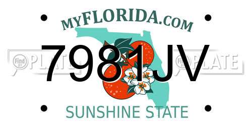 7981JV Florida License Plate