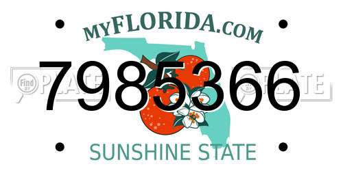 7985366 Florida License Plate