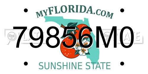 79856M0 Florida License Plate