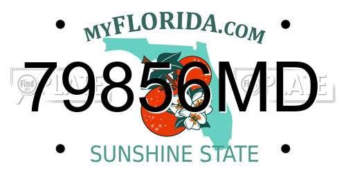 79856MD Florida License Plate