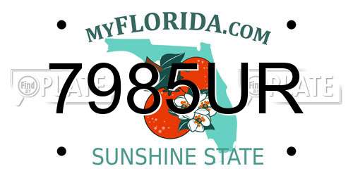 7985UR Florida License Plate