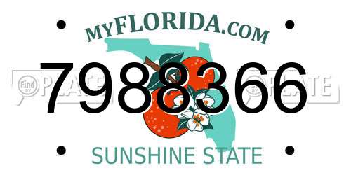 7988366 Florida License Plate