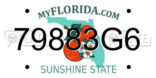 79883G6 Florida License Plate